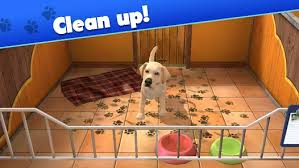 Pet World Animal Shelter pet care tasks