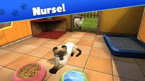 Pet World Animal Shelter gameplay showing a player caring for animals